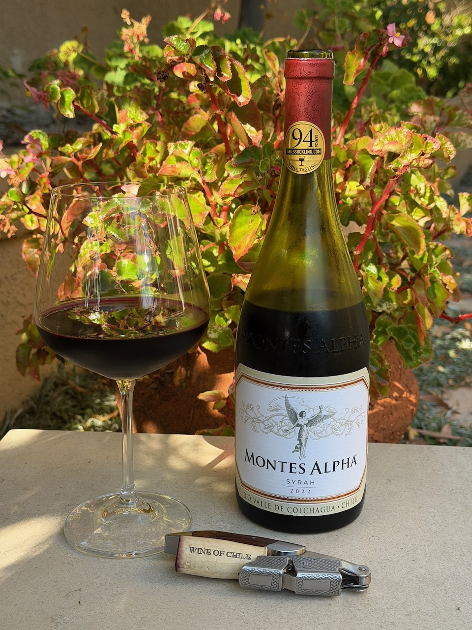 Behind the Cork™ - Montes Alpha Syrah