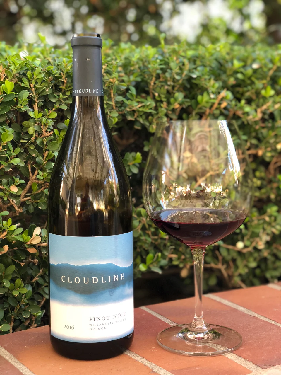 Behind the Cork™ - 2016 Cloudline Pinot Noir