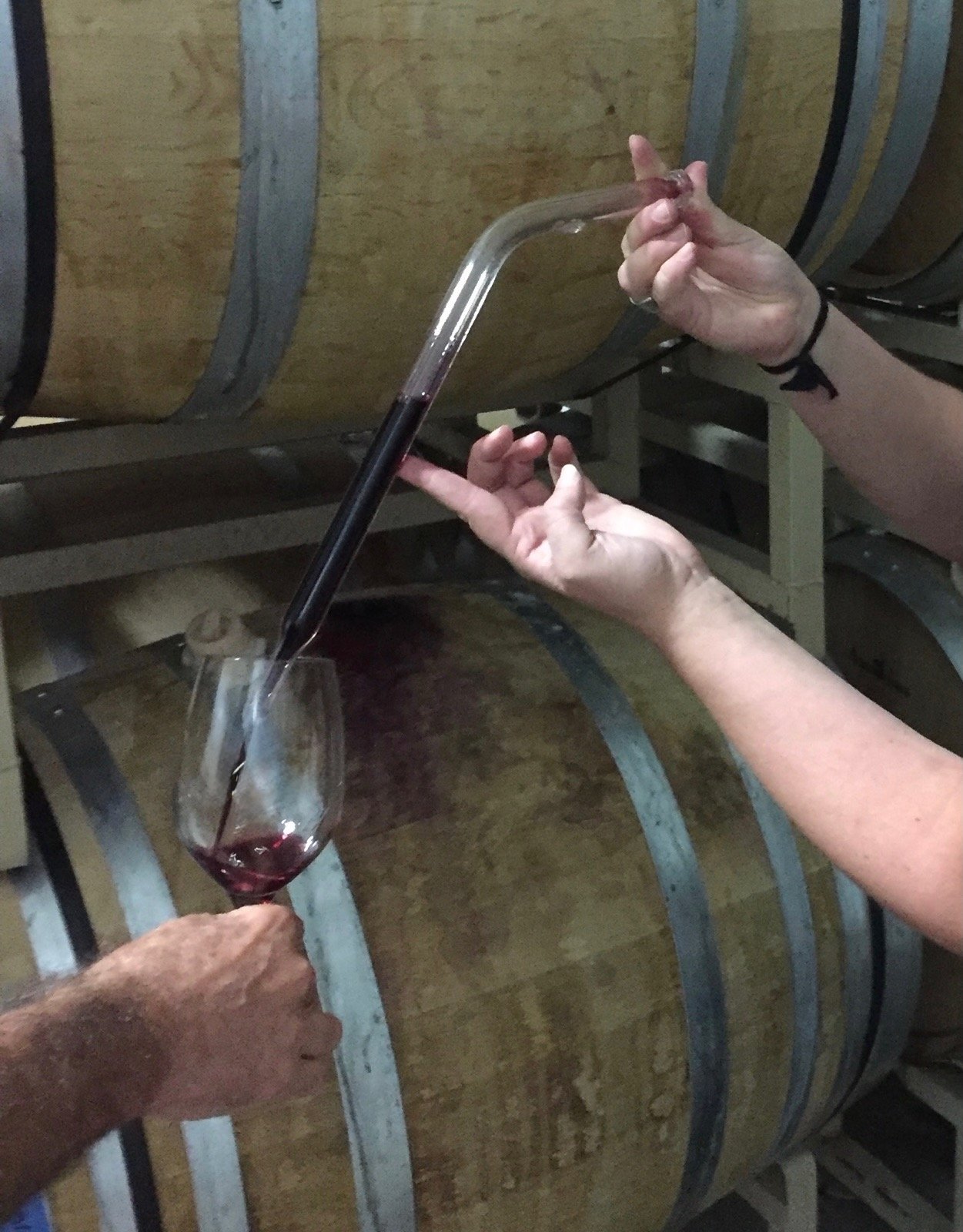 The Art of Wine Making: Having a Trained Nose and Palate to Evaluate the Wine