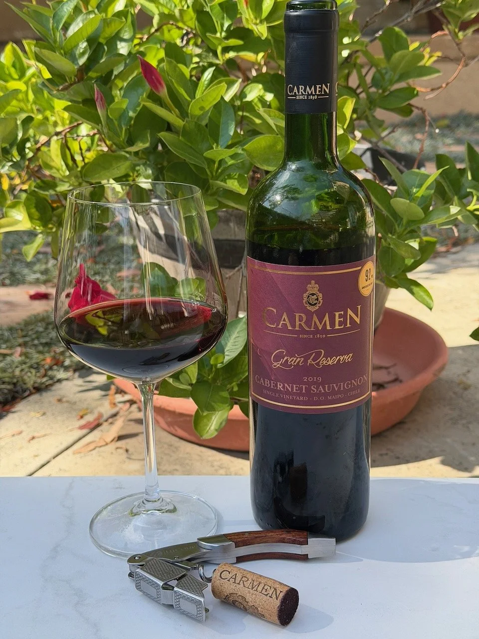 Behind the Cork™ - Carmen Gran Reserva Cabernet Sauvignon