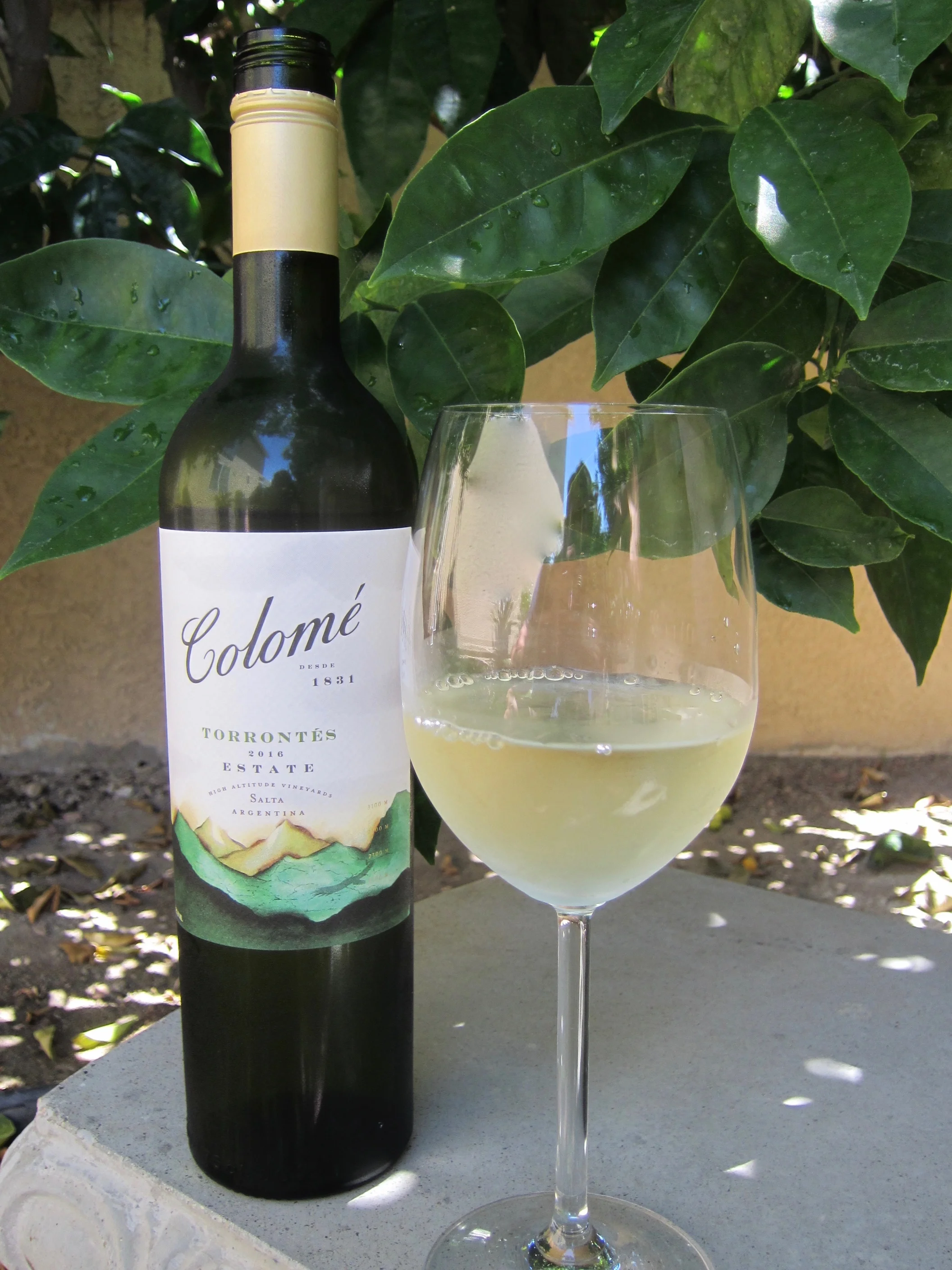 Behind the Cork™ - 2016 Colomé Torrontés