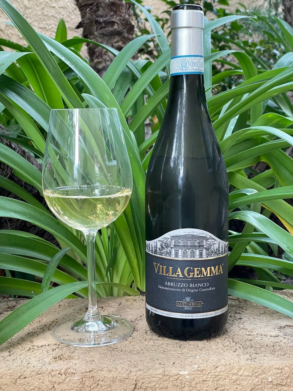 Behind the Cork™ -  White Wines from Masciarelli Winery in Abruzzo