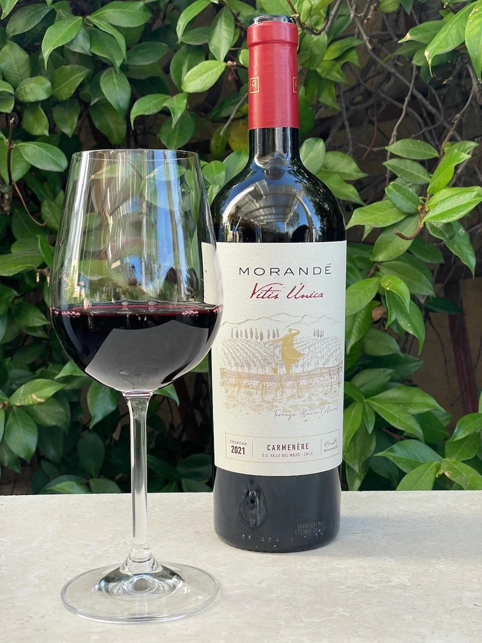 Behind the Cork™ - Carménère Wine of Chile (Part 2 of 3)