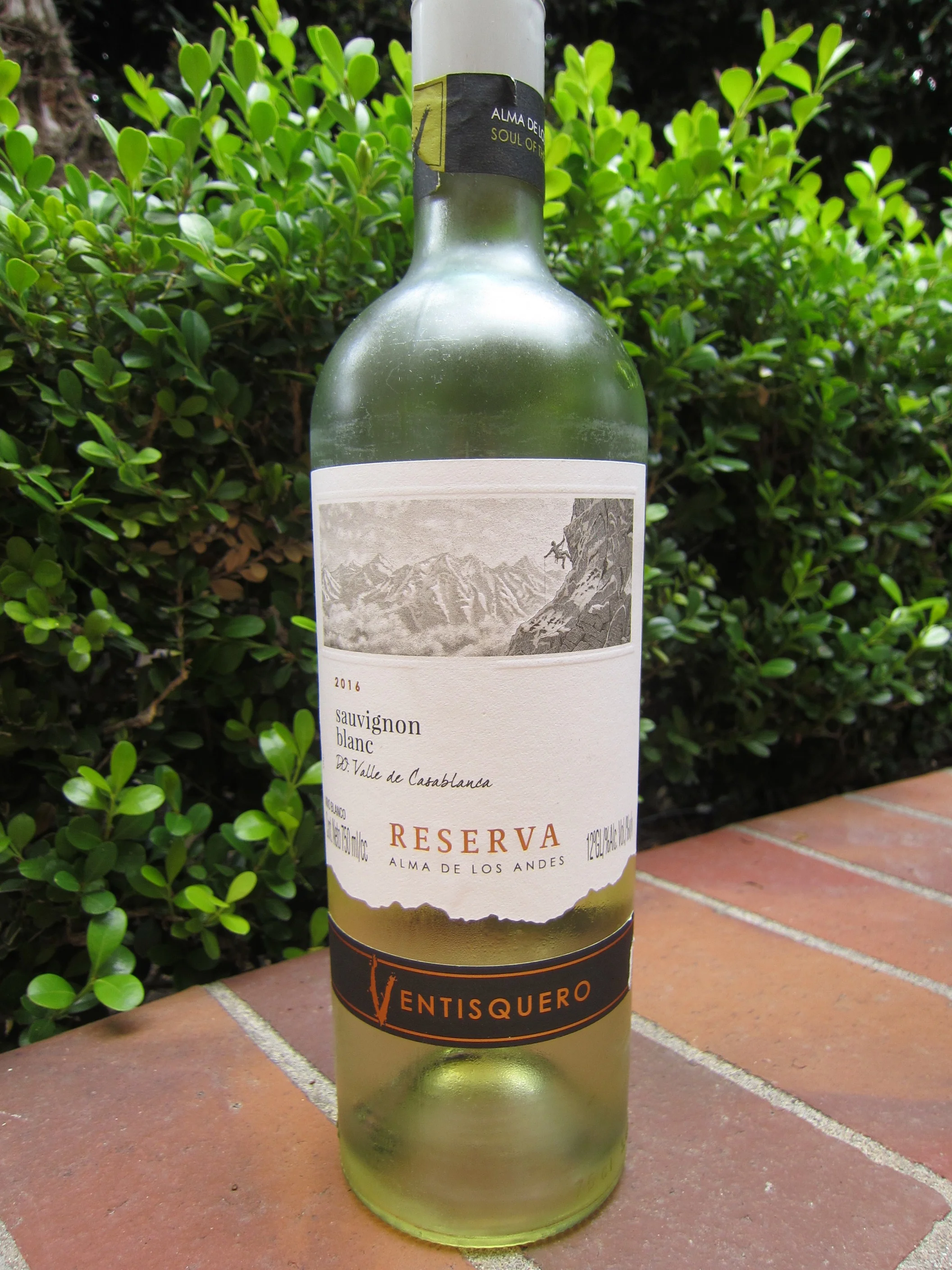 Behind the Cork™ - 2016 Ventisquero Casablanca Valley Sauvignon Blanc Reserva
