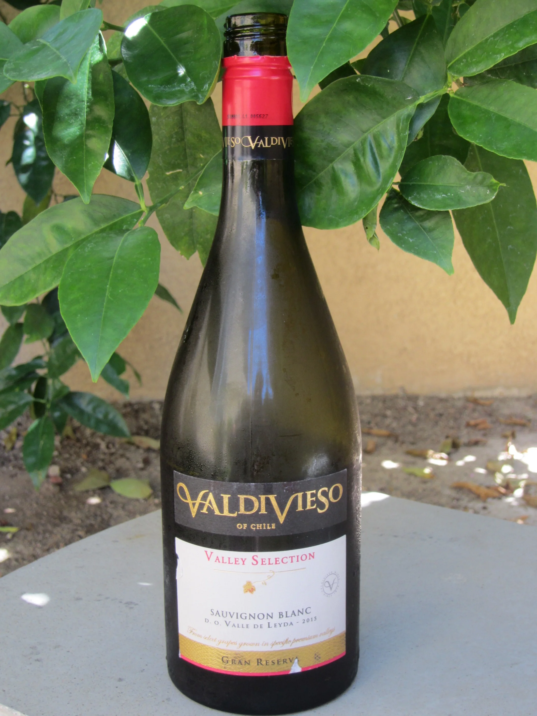 Behind the Cork™ - 2015 Valdivieso Valley Selection Sauvignon Blanc Gran Reserve