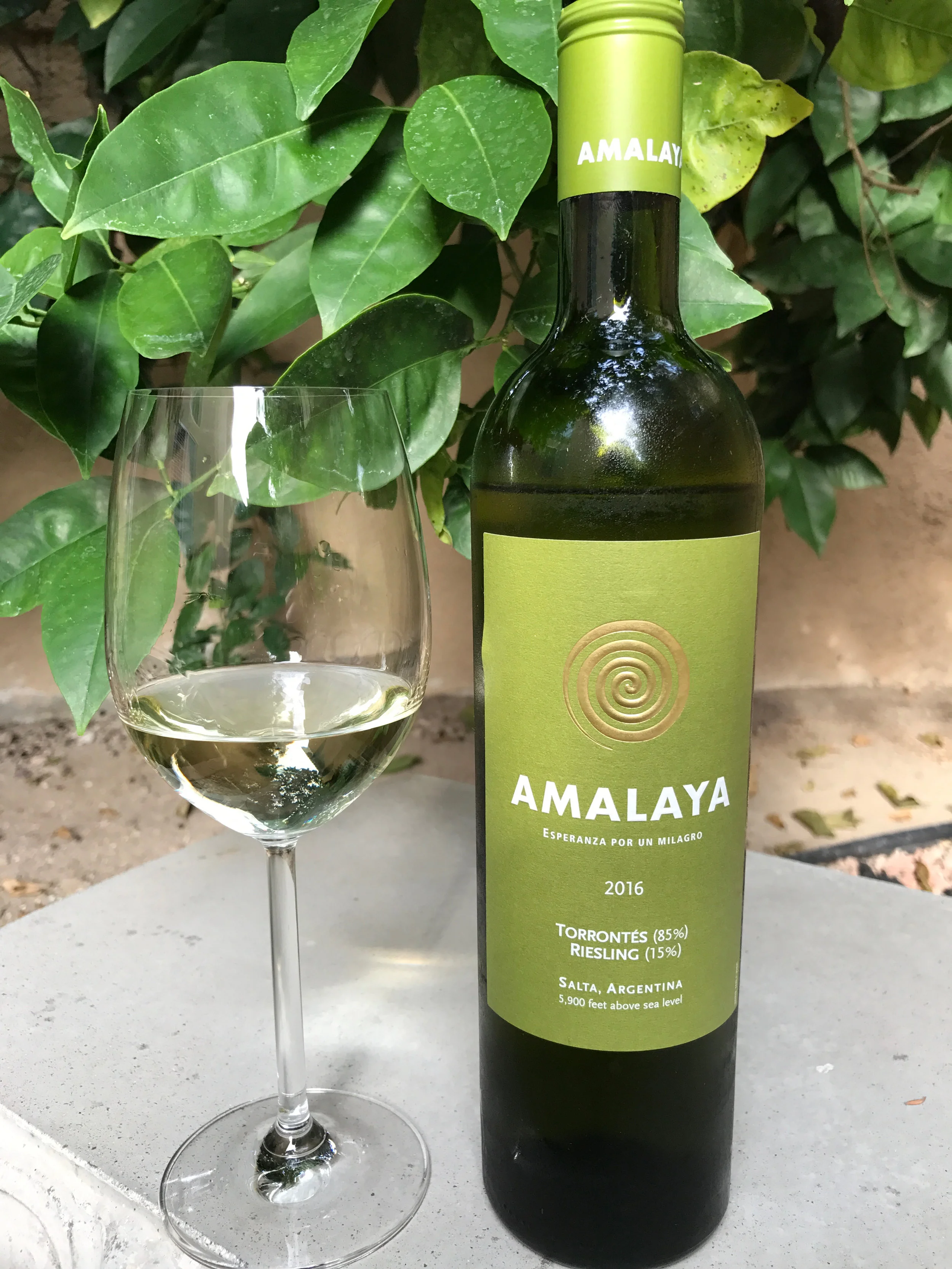 Behind the Cork™ - 2016 Amalaya Blanco